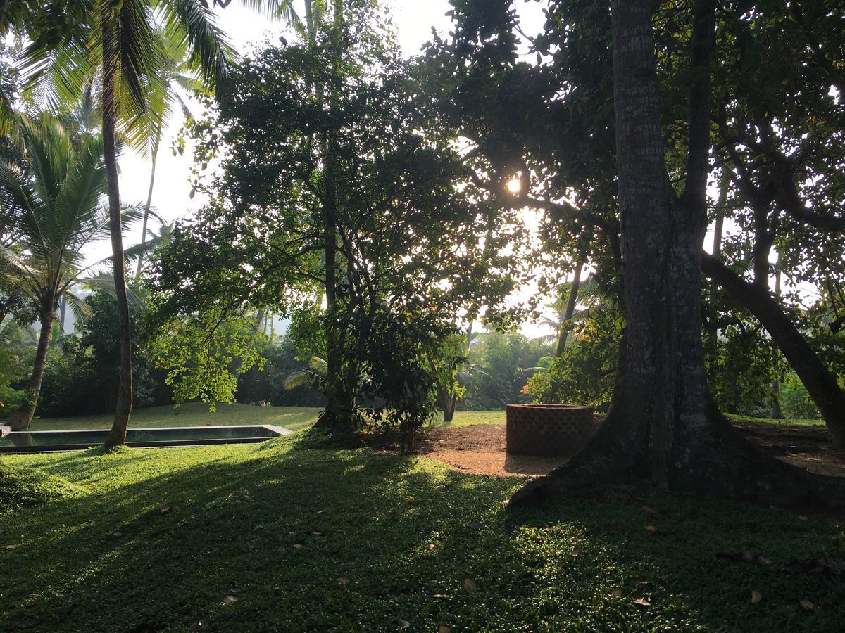 Kaju Green Eco Lodges Unawatuna Εξωτερικό φωτογραφία